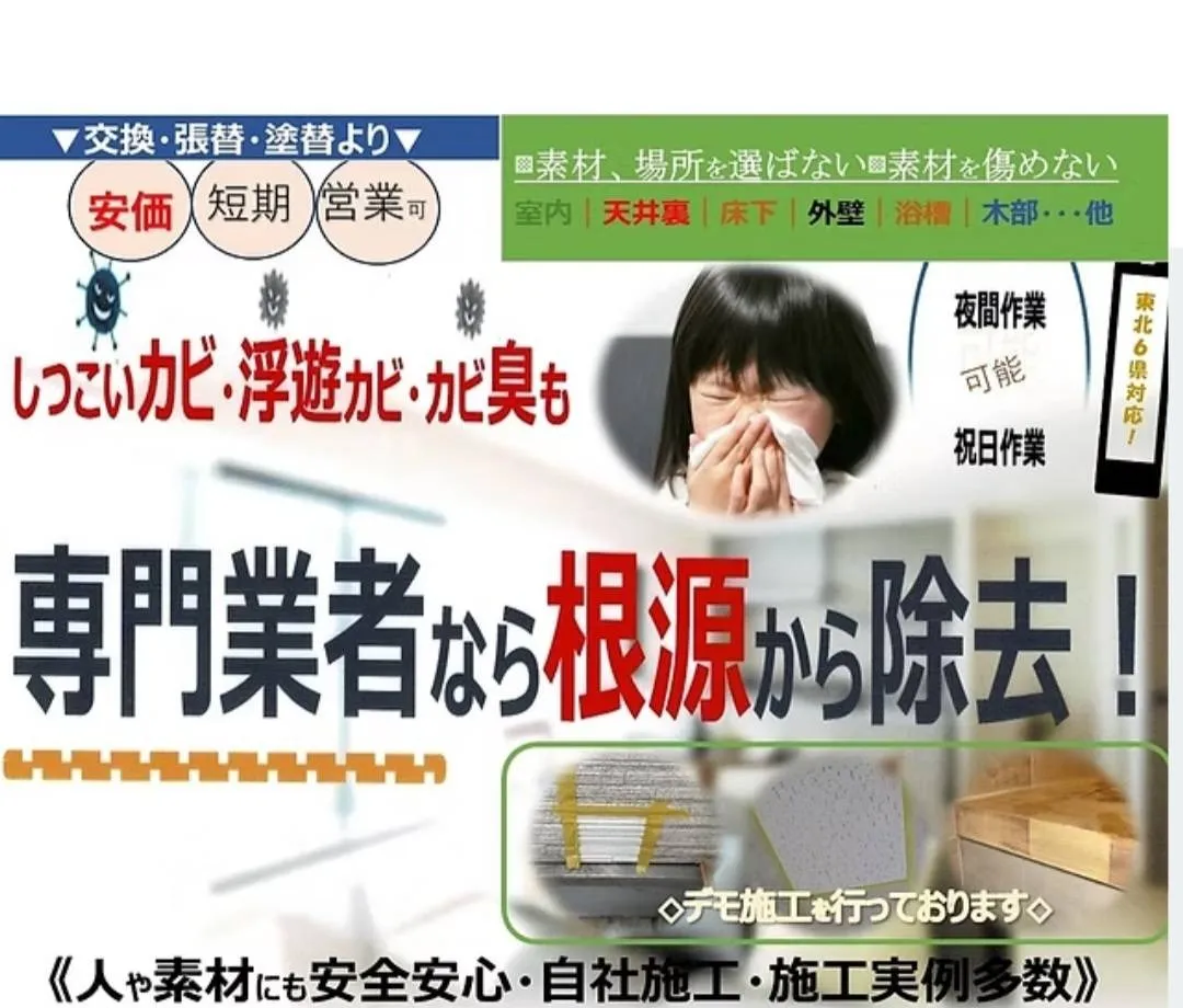 💚【有限会社ミスミ】東北6県対応！KM工法で建材を守るカビ取りのプロ