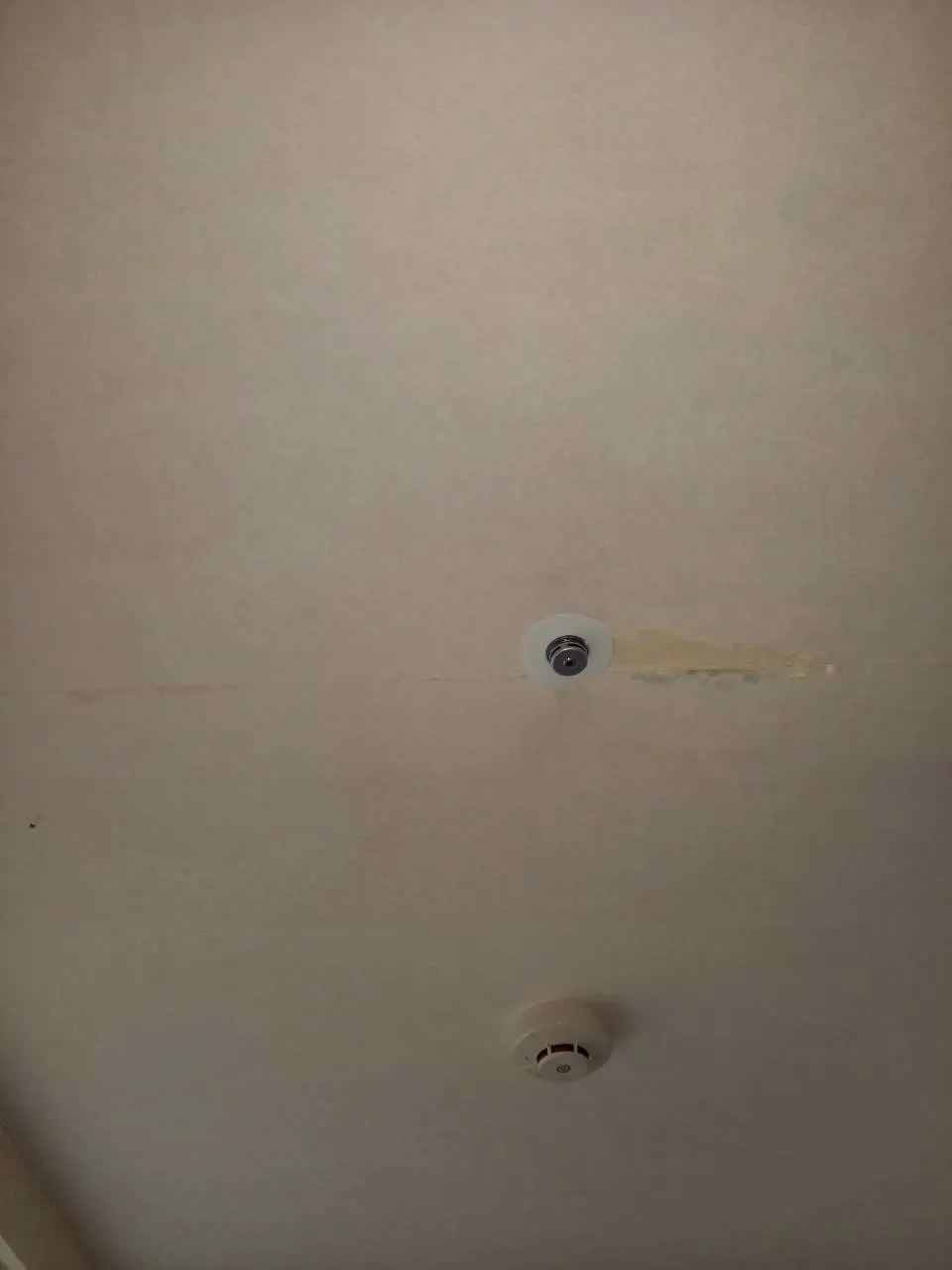 老人介護施設　除カビ工事