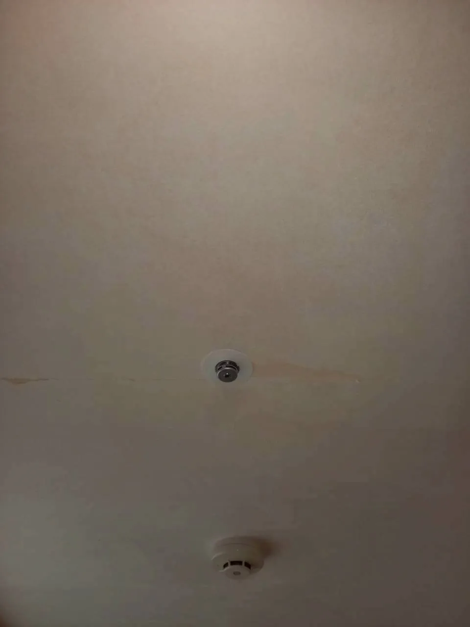 老人介護施設　除カビ工事