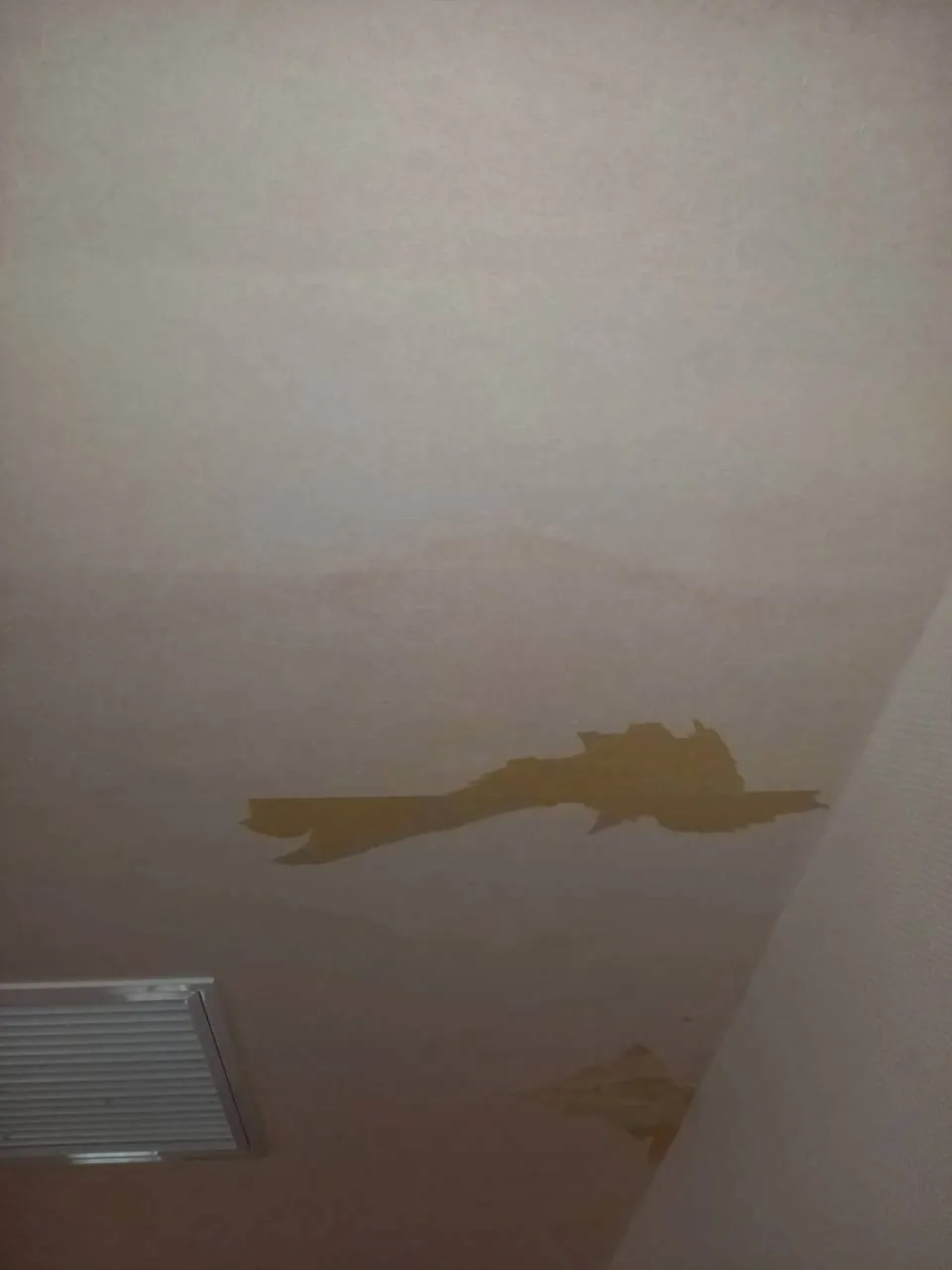 老人介護施設　除カビ工事