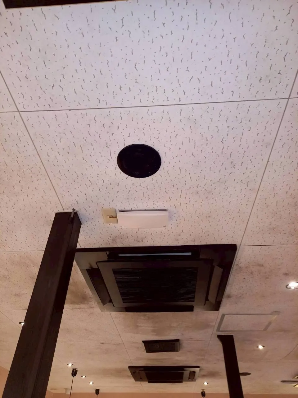 飲食店　天井除カビ工事