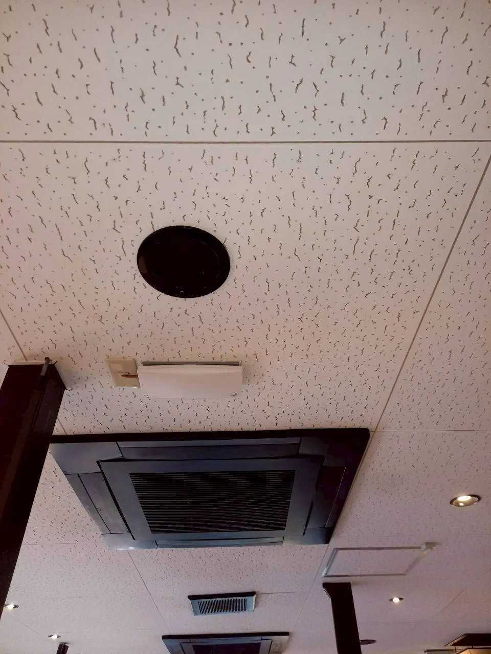 飲食店　天井除カビ工事