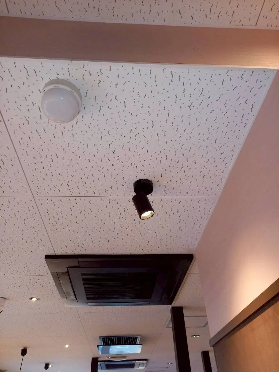 飲食店　天井除カビ工事