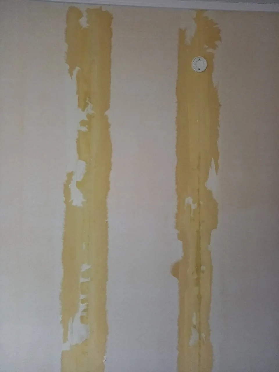 クロス除去後の除カビ施工