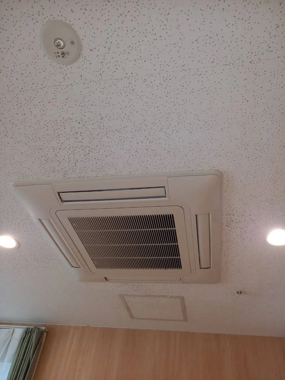 施設天井ジプトーン除カビ施工