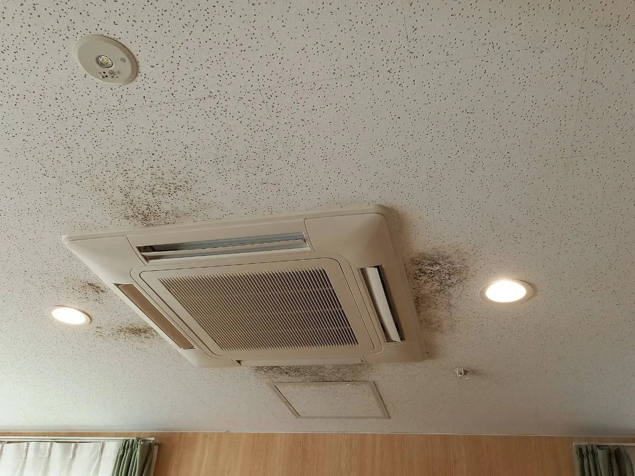 施設天井ジプトーン除カビ施工