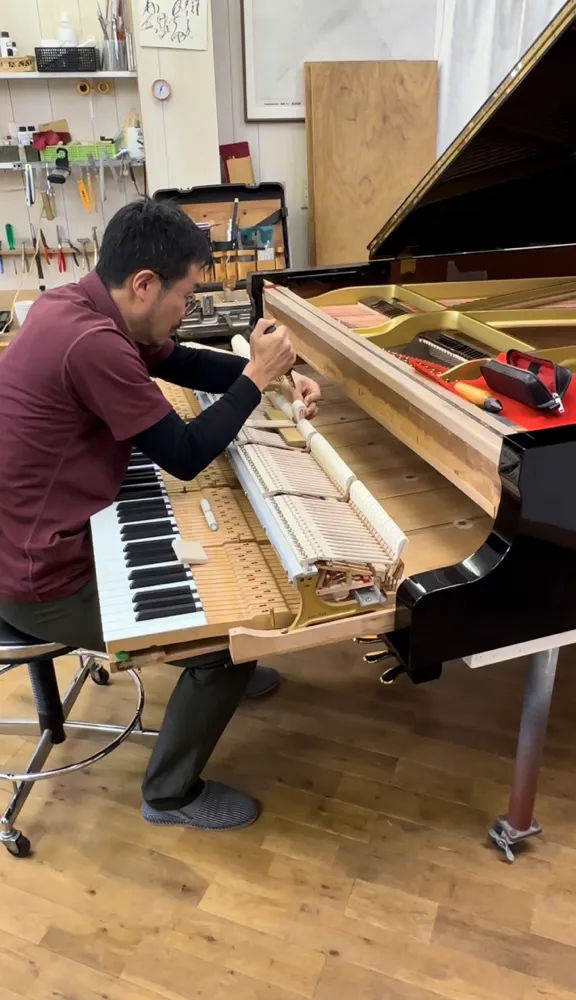 ピアノやギターにカビ発生！？木製楽器の内部に潜む見えないカビの原因と対策をプロが徹底解説🎹🎸