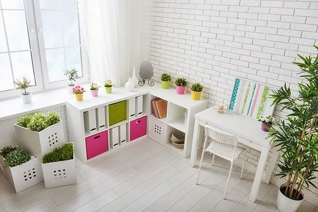 カラーボックスや本棚の裏に潜むカビの恐怖😱背板（MDF）が湿気を吸って発生する原因と対策を徹底解説！