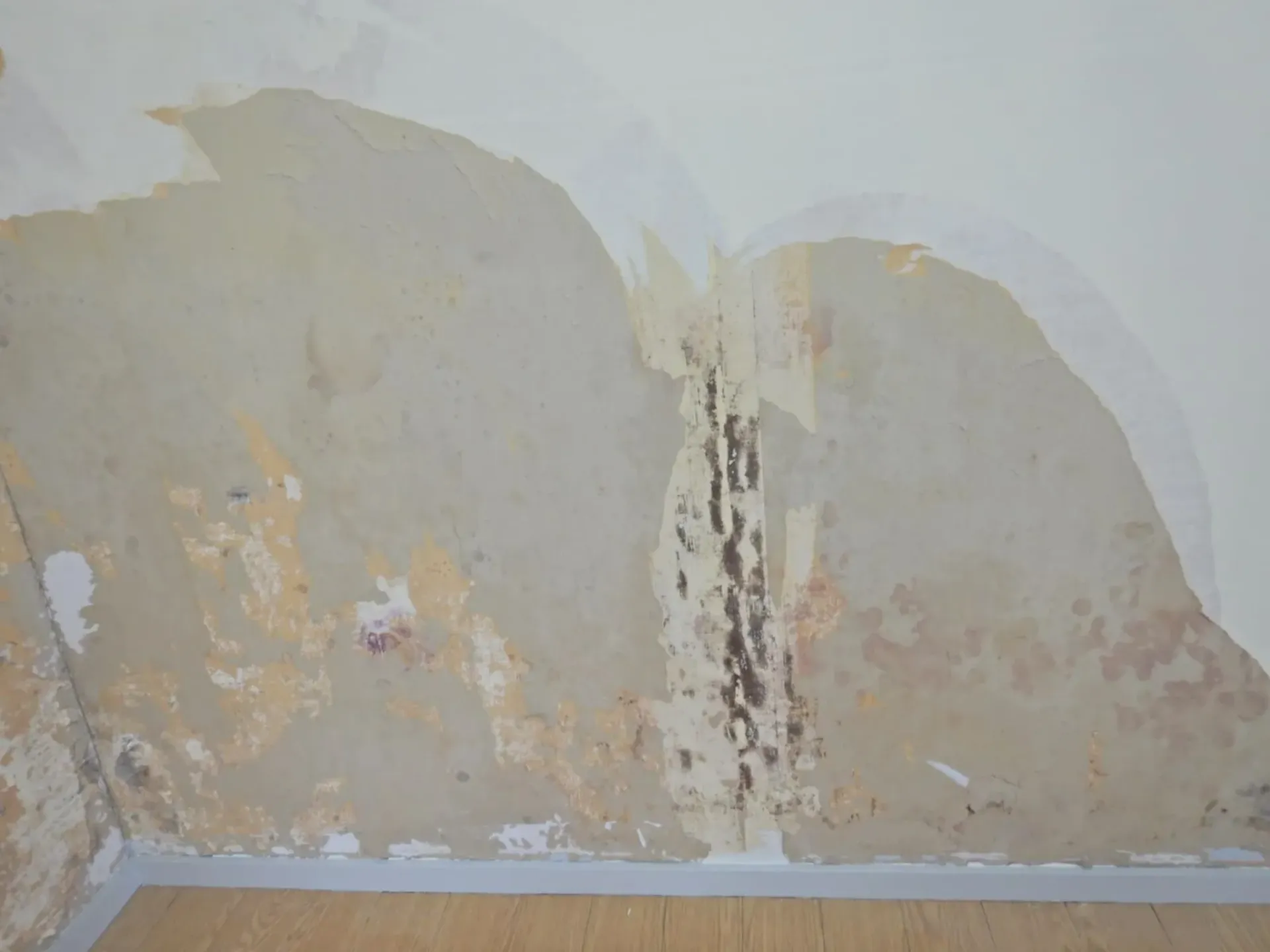春から夏に急増する仙台市の石膏ボード裏カビ問題｜見えない壁内部のリスクと専門対策