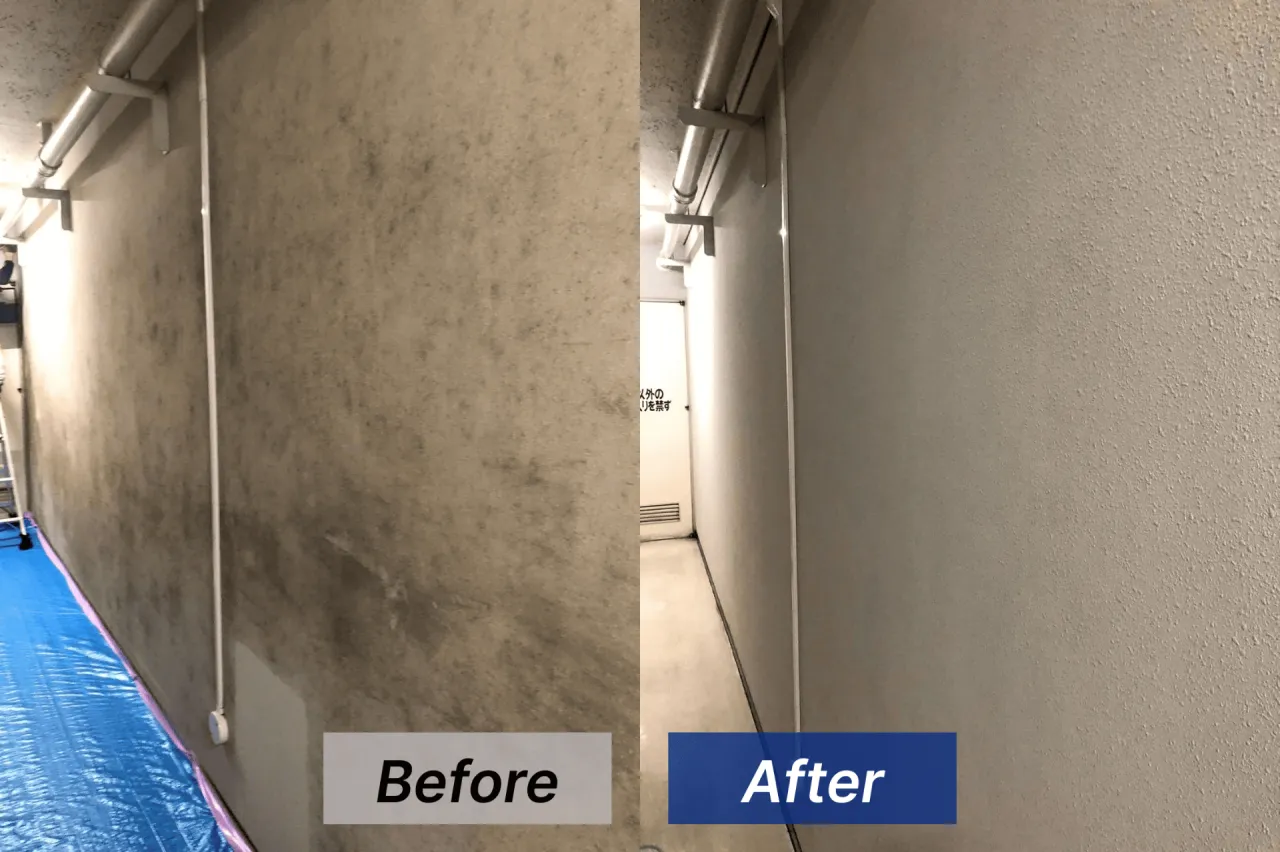 春から夏に急増する仙台市の車庫壁面カビ問題｜見落とされがちな外構空間のリスクと専門対策