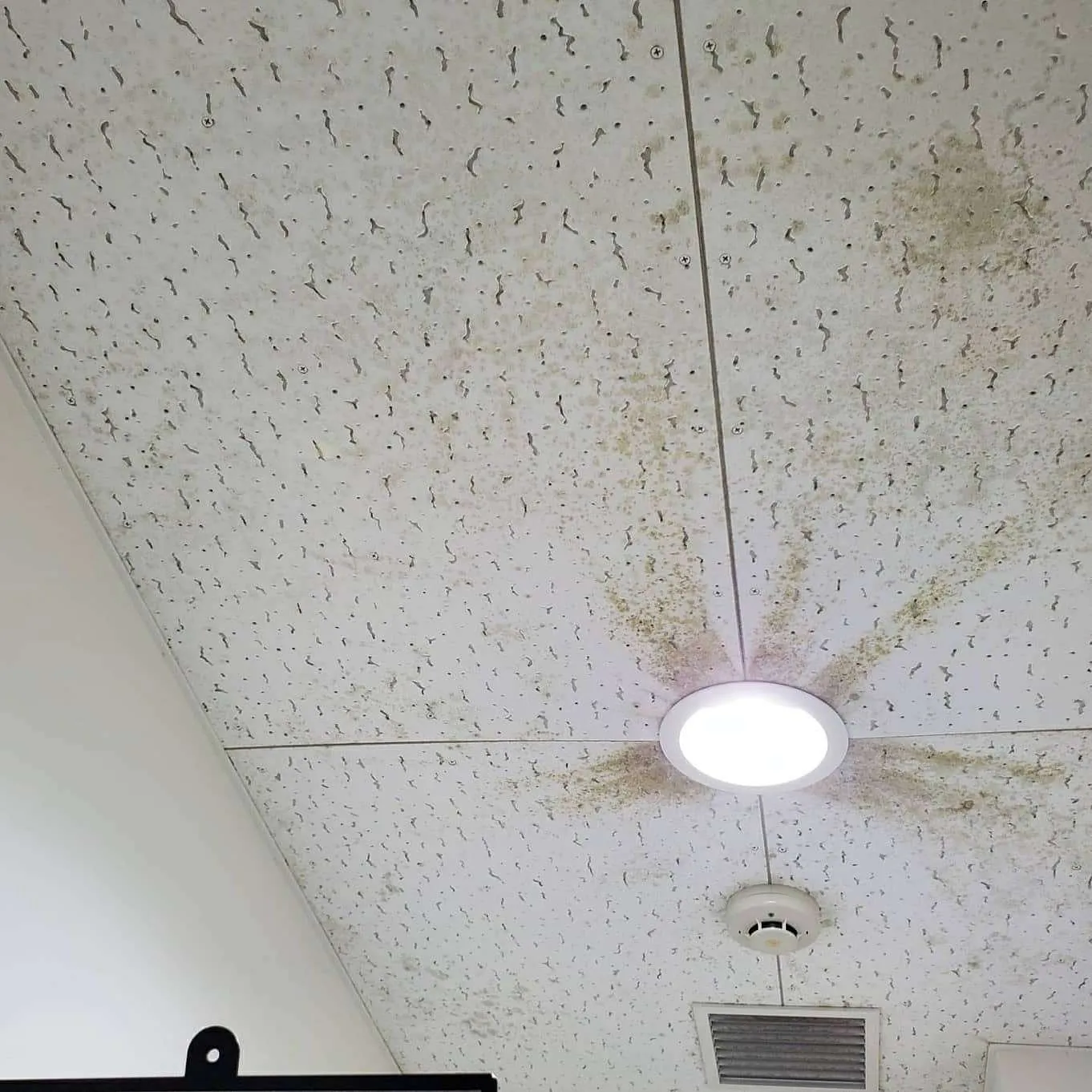 春から夏に急増する仙台市の店舗トイレ天井カビ問題｜見えないリスクと衛生管理の盲点を徹底解説