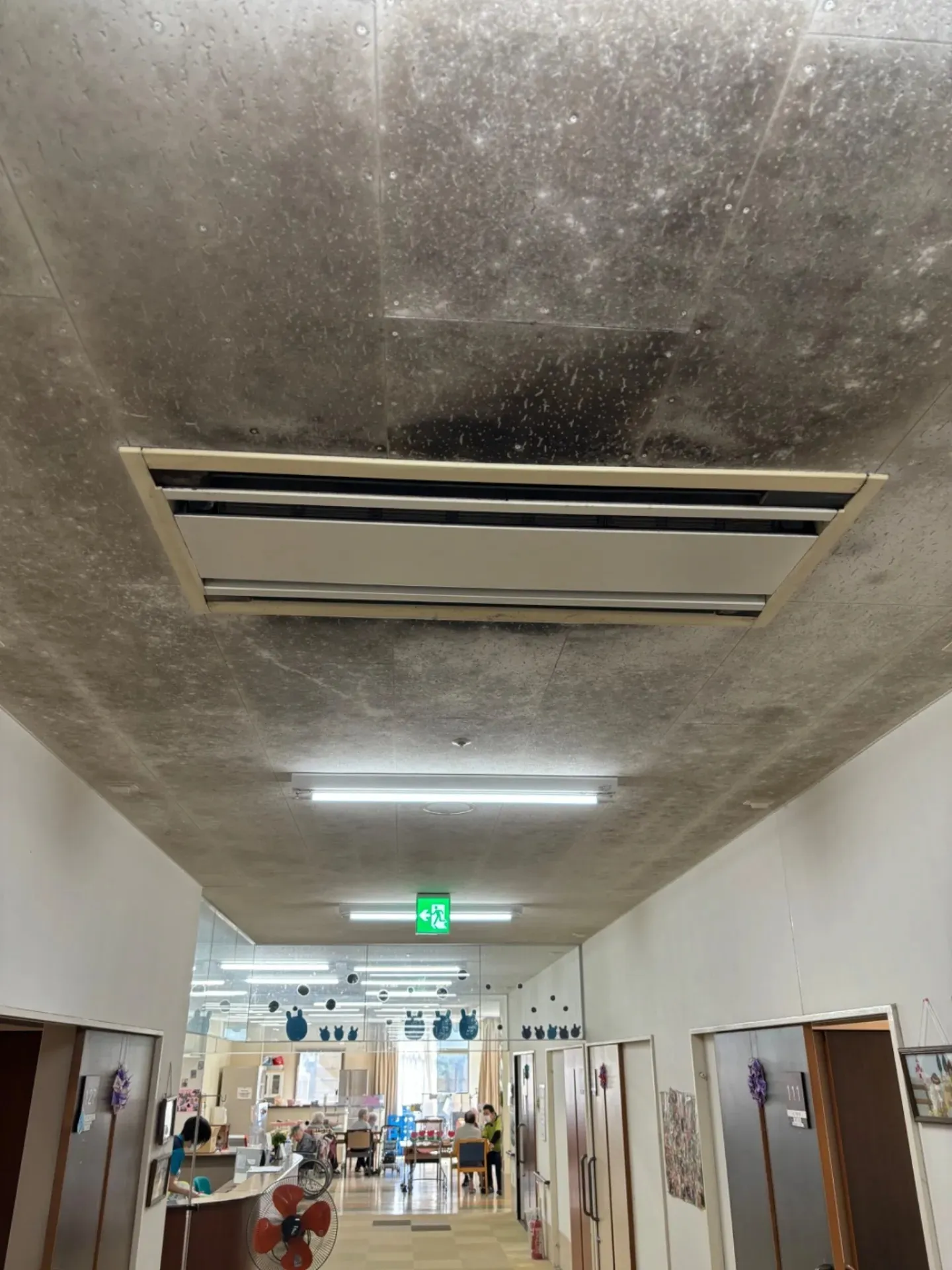 春から夏に急増する仙台市の診療所待合室天井カビ問題｜患者環境を守るための見えないリスクと専門対策