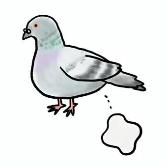 クリプトコッカス症とは？🕊️ハトのフン由来のカビ感染と室内環境の危険性｜東北のカビ対策はカビバスターズ仙台へ
