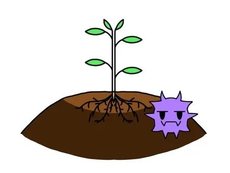 スポロトリコーシスとは？土や植物に潜むカビ感染症の原因と対策｜東北のカビ相談はMIST工法®カビバスターズ仙台へ