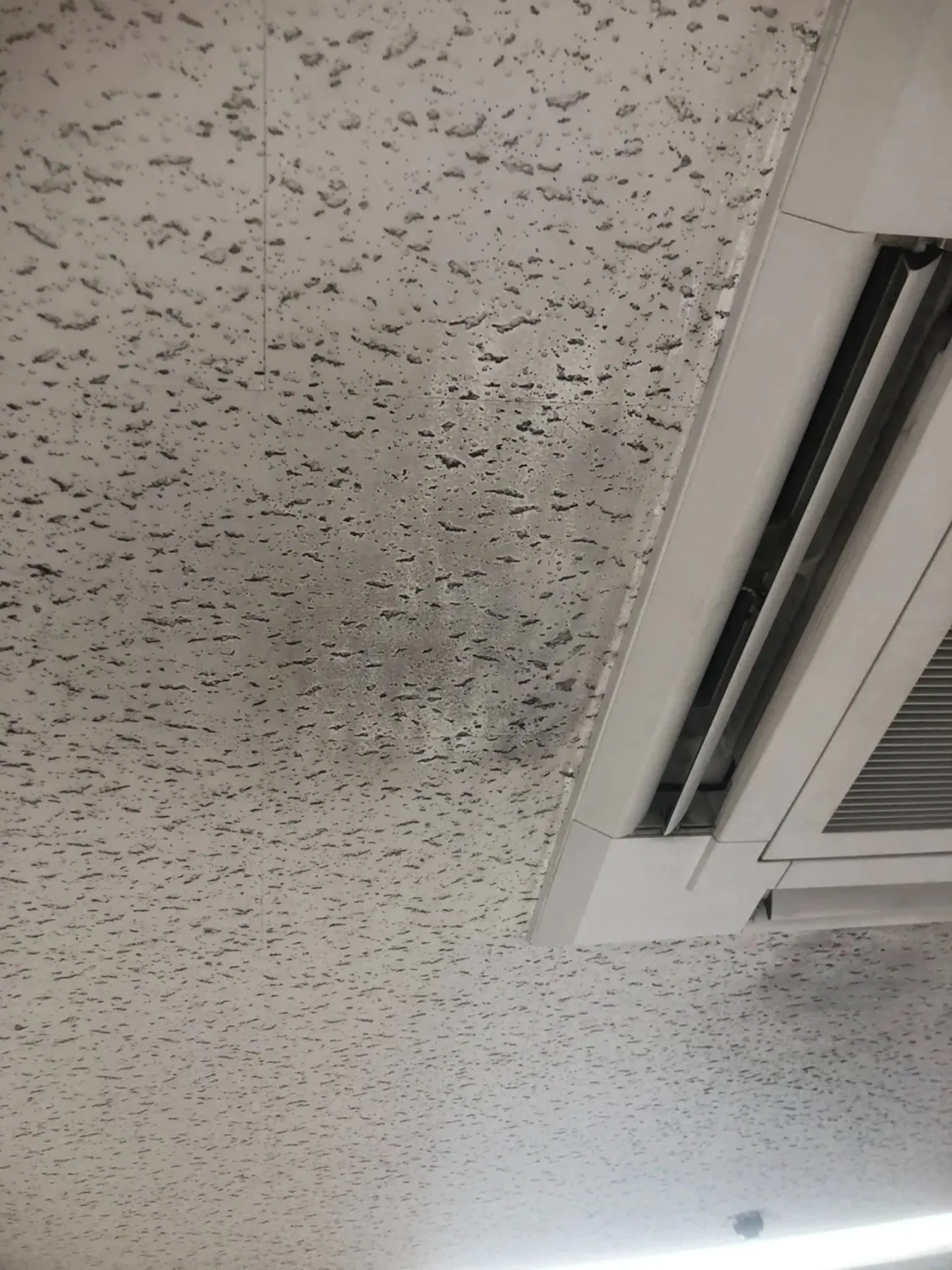 仙台市で急増する天カセ周辺天井のカビ問題｜見えない湿気と空調リスクを徹底解説