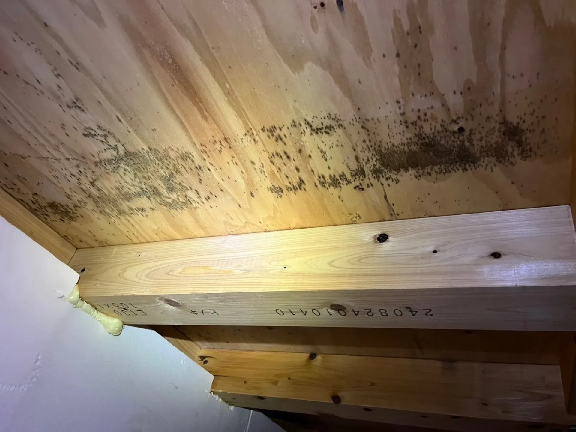 宮城県登米市で急増する木造住宅の床下カビ問題|見えない湿気リスクと根本対策を徹底解説