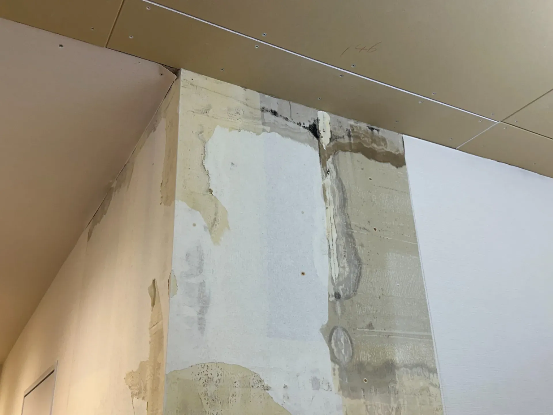 宮城県で急増する除湿機需要｜梅雨入り後に起こるカビリスクと正しい湿度対策を徹底解説