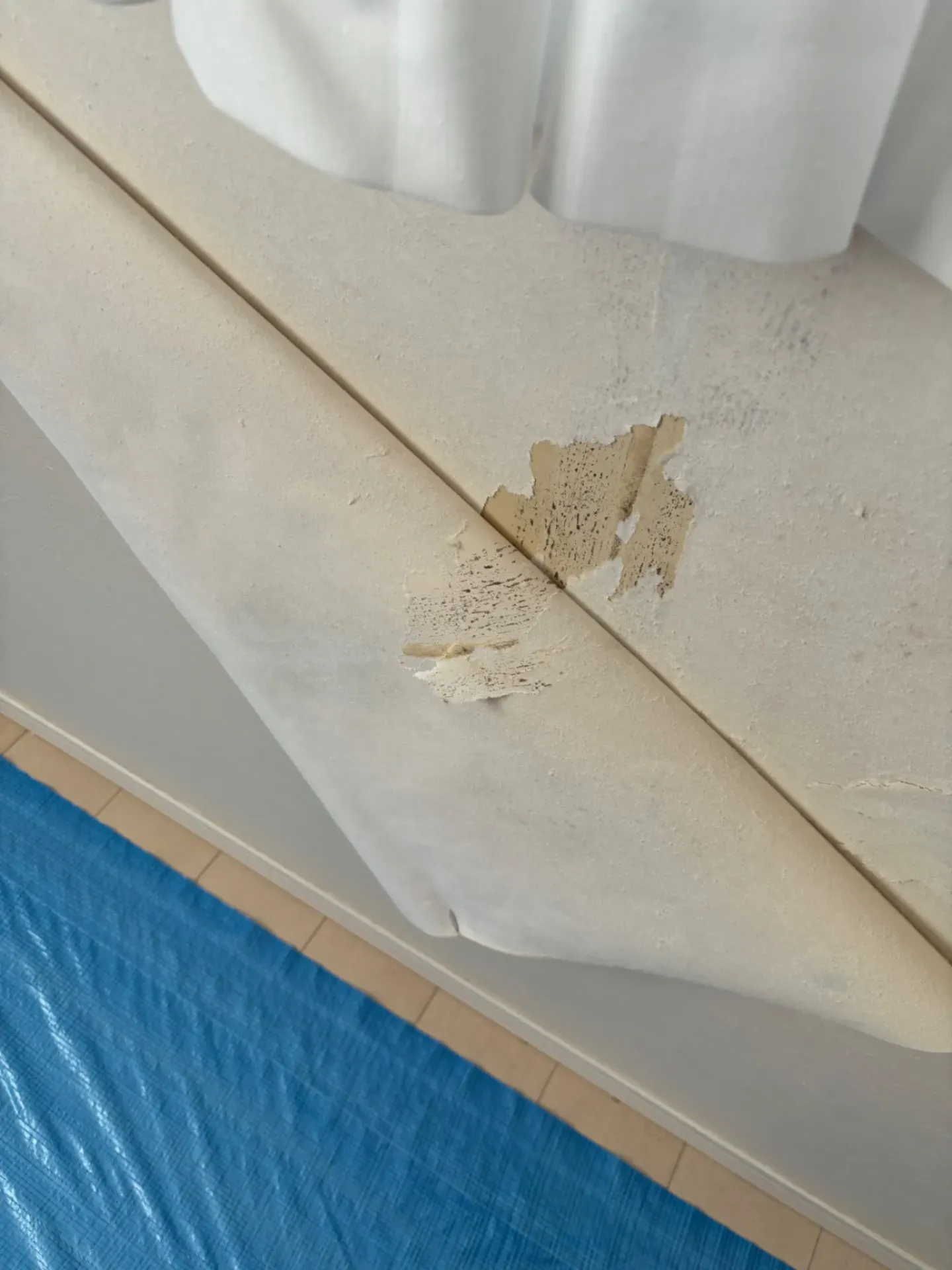 仙台市で急増するクロス浮き下のカビ問題｜見えない内部汚染と正しい対処法を専門家が解説