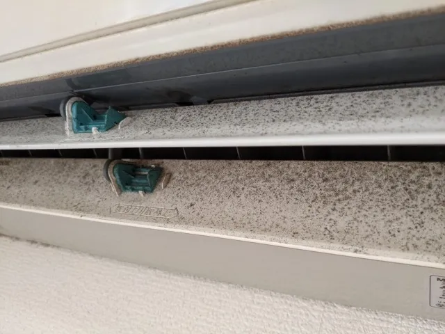 旅館・ホテルのカビ臭対策は必須時代へ！室内空気質検査と管理義務で守る安心宿泊環境とは