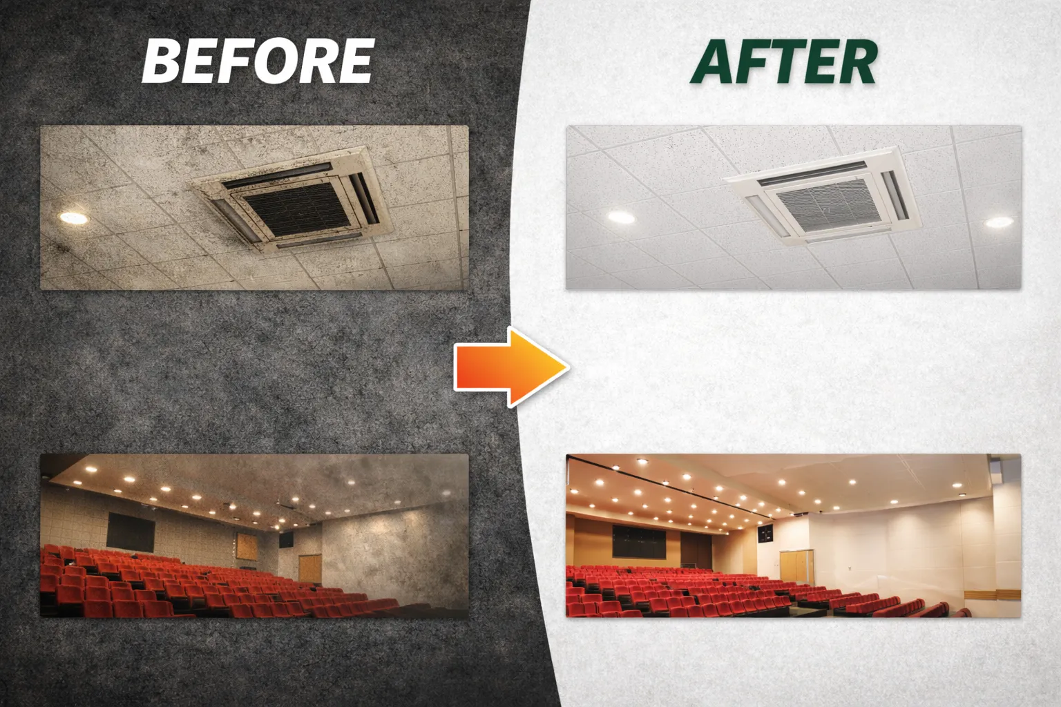 市民会館・県民会館で増加するカビ問題｜施設環境を守る除カビ対策と再発防止の重要性