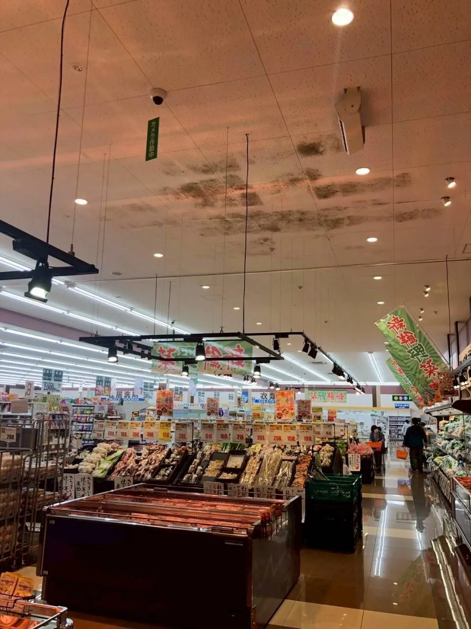 店舗天井ジプトーン除カビ