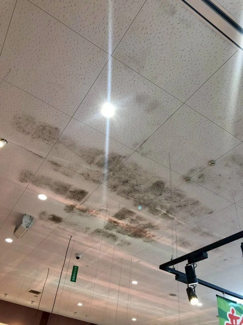 店舗天井ジプトーン除カビ