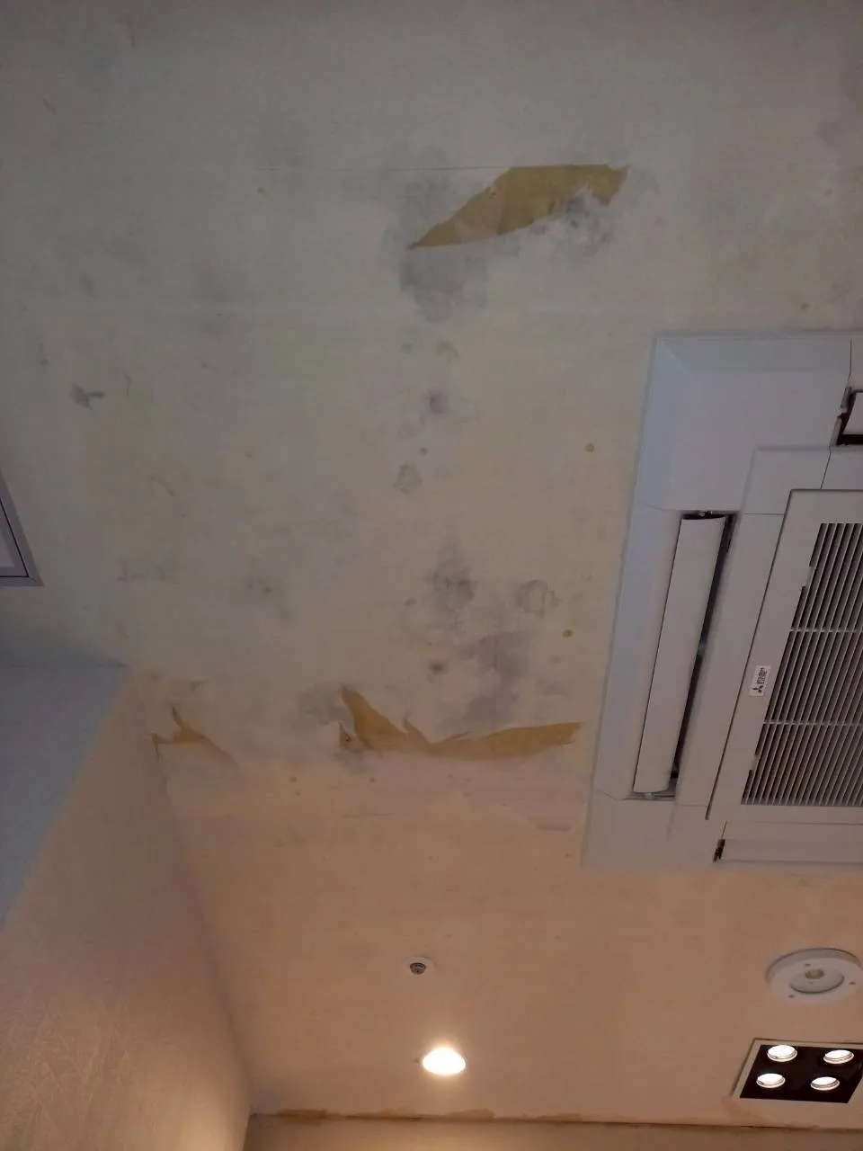 大浴場　ドレッシングルーム天井