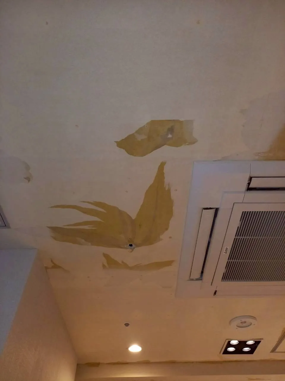 大浴場　ドレッシングルーム天井