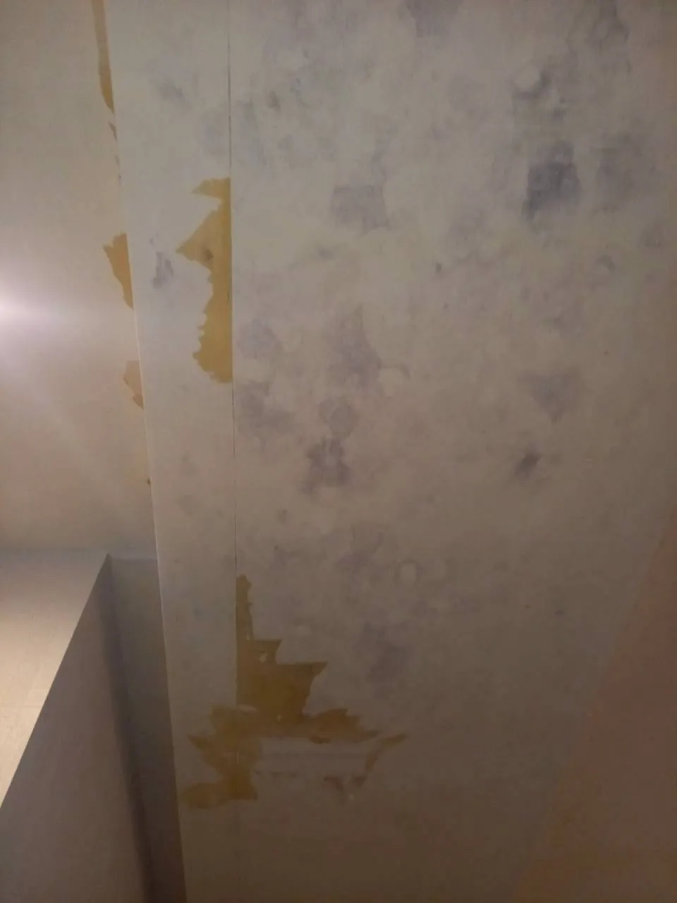 大浴場　ドレッシングルーム天井