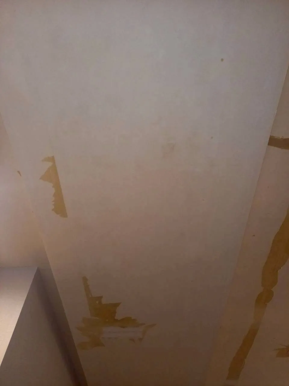 大浴場　ドレッシングルーム天井