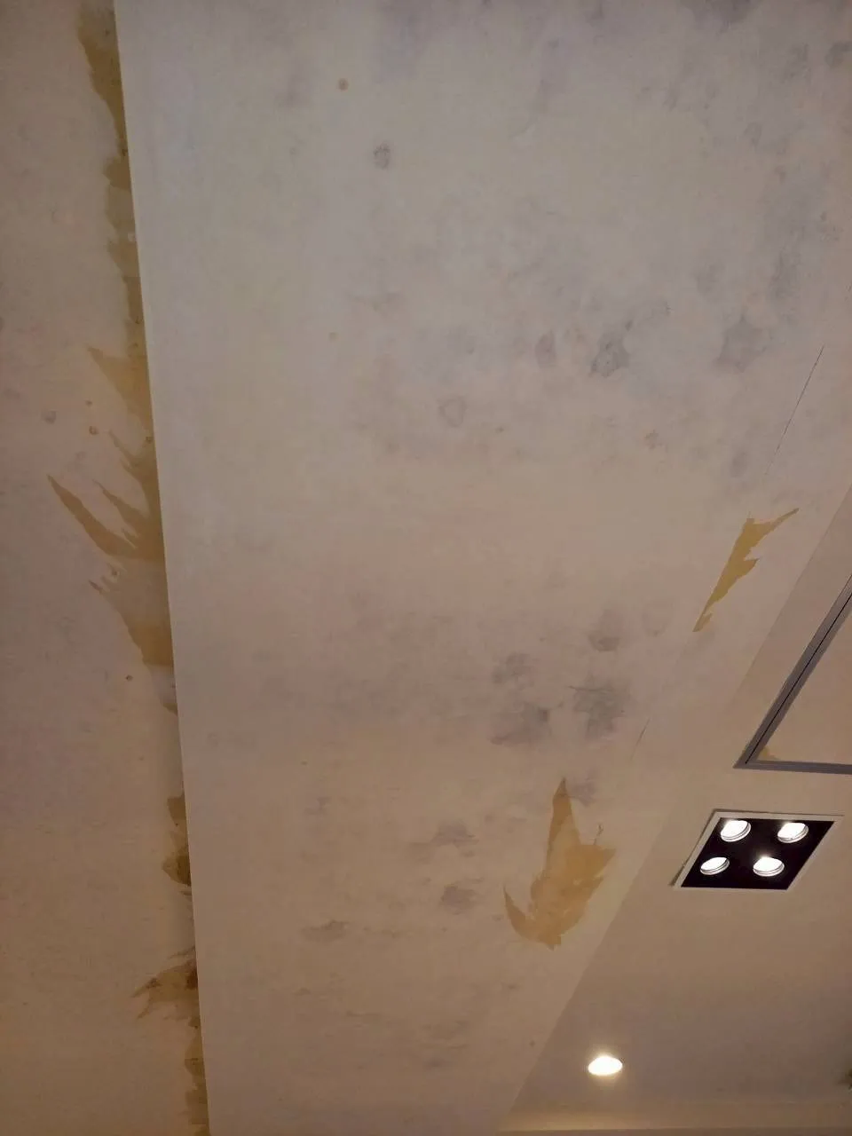 大浴場　ドレッシングルーム天井