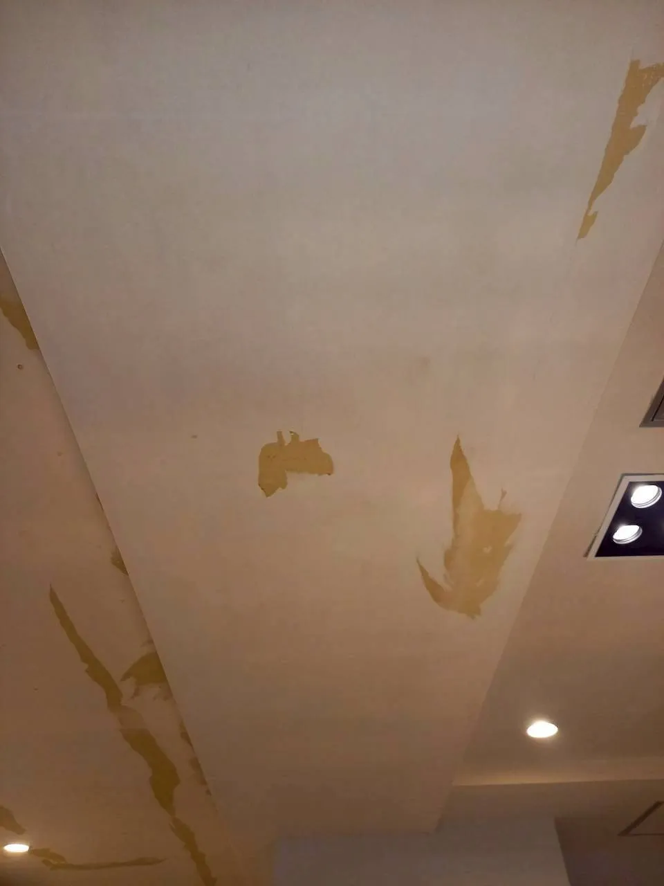 大浴場　ドレッシングルーム天井