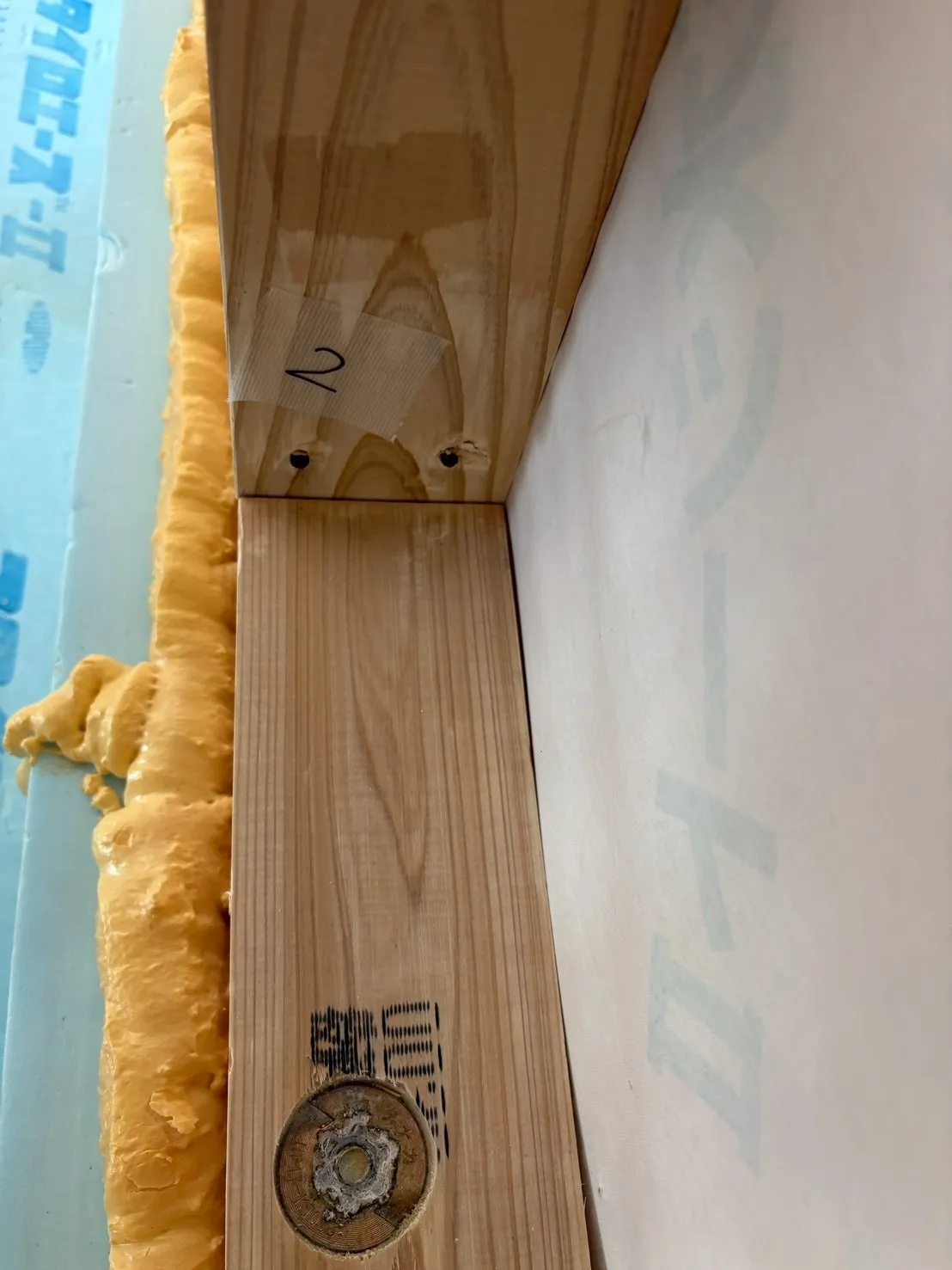 新築物件除カビ施工