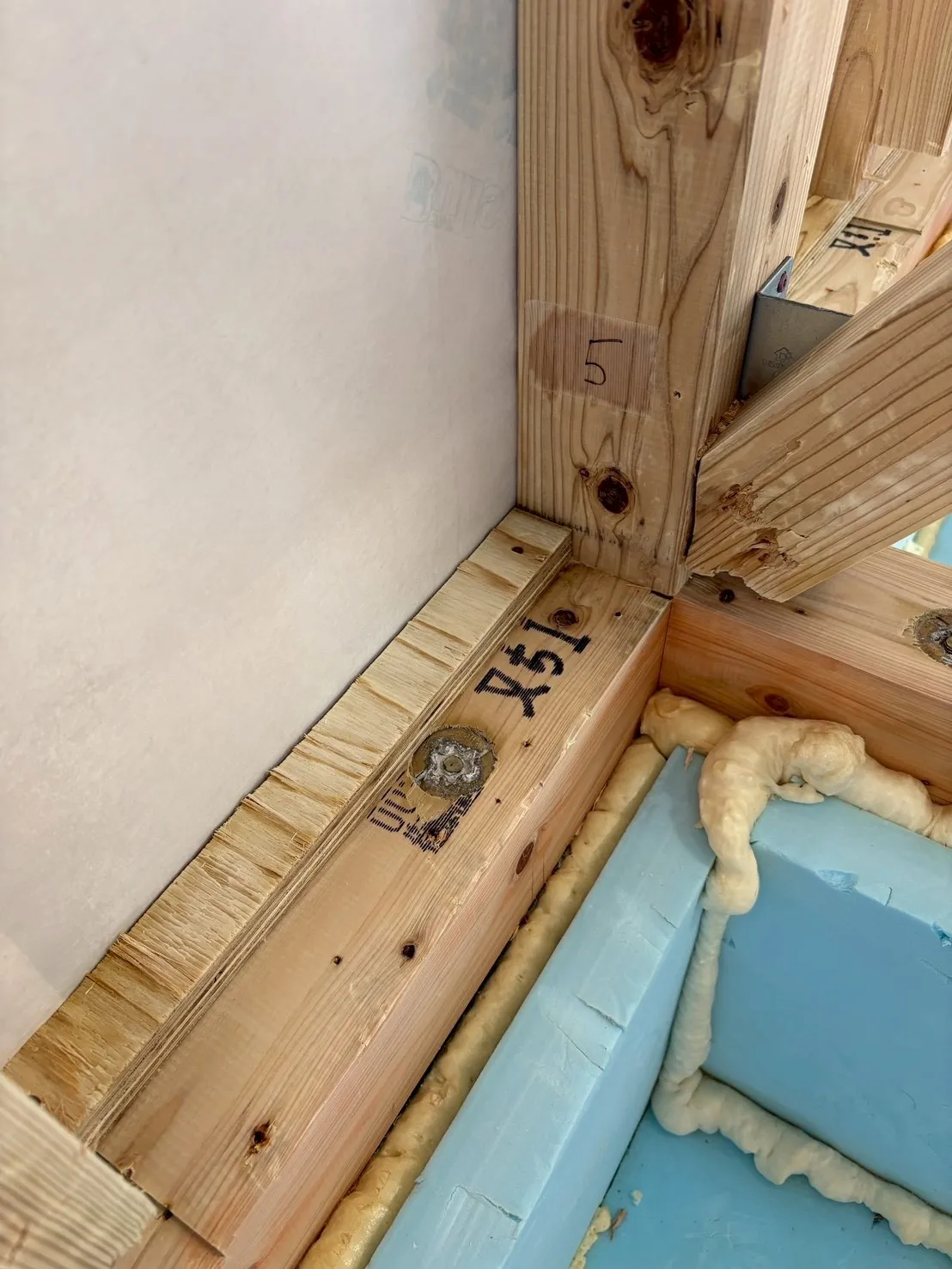 新築物件除カビ施工