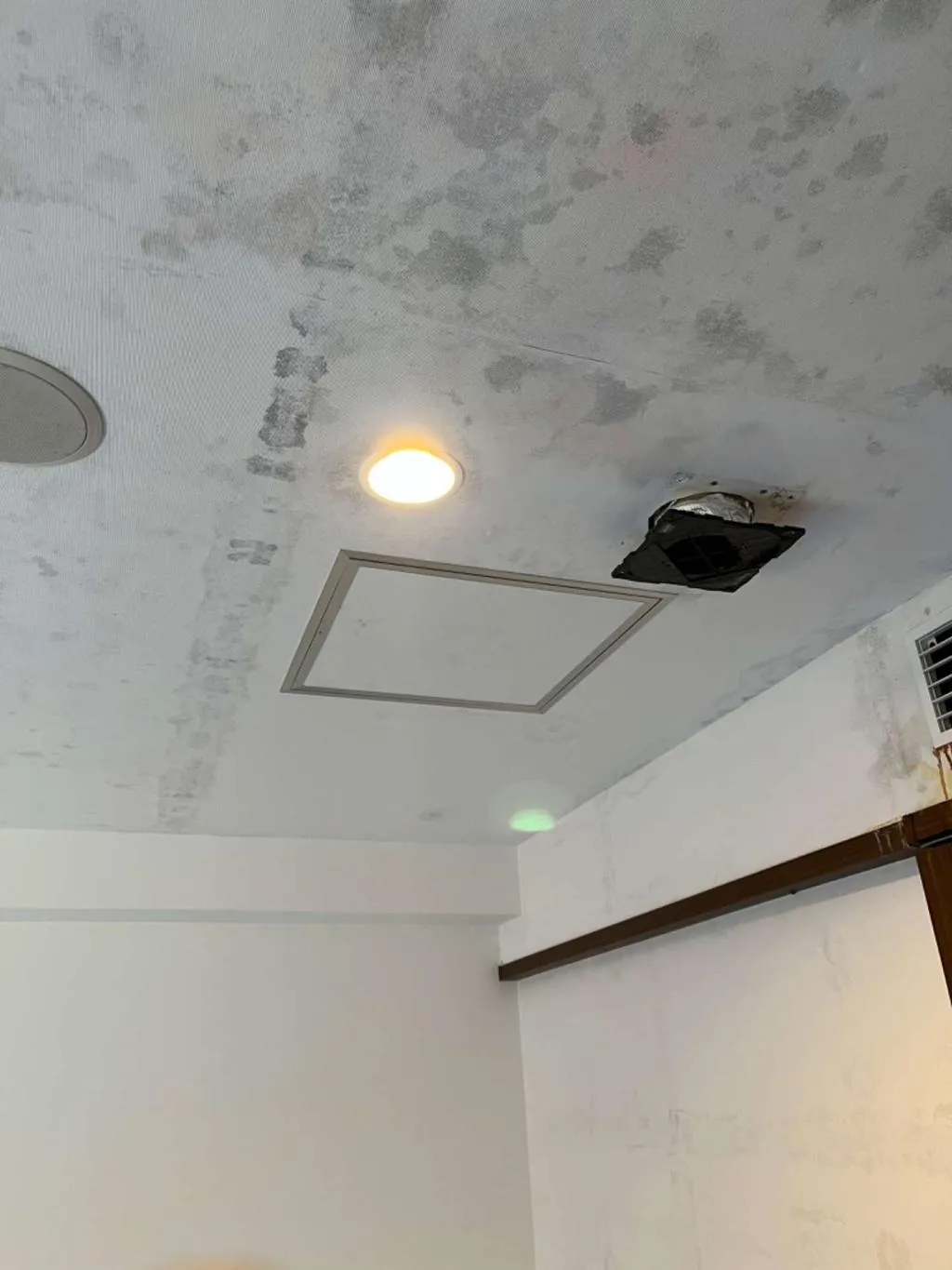 【飲食・宿泊業オーナー様へ】梅雨の「カビ臭いクレーム」を防ぐ！客室・店舗の緊急カビ対策ガイド