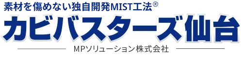 MPソリューションが応援するアーティスト紹介‼