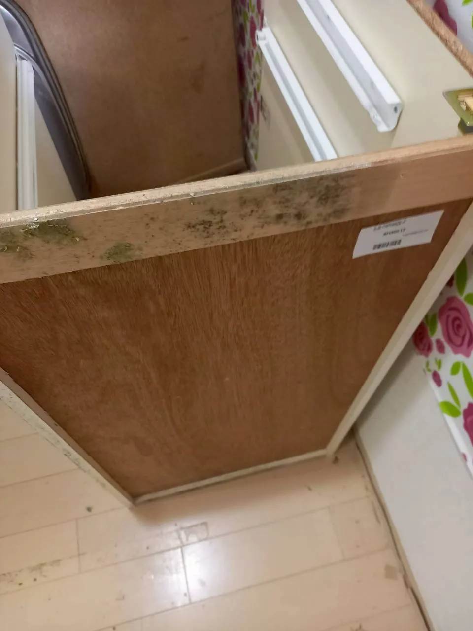 R8.6.24｜仙台市 戸建て住宅 キッチン裏壁内除カビ施工