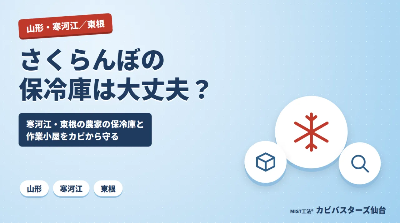 保冷庫のカビ対策
